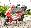 Details mit Bild